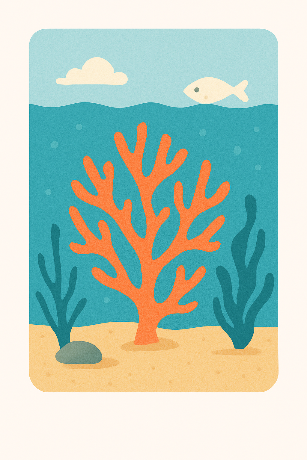 Coral Pack